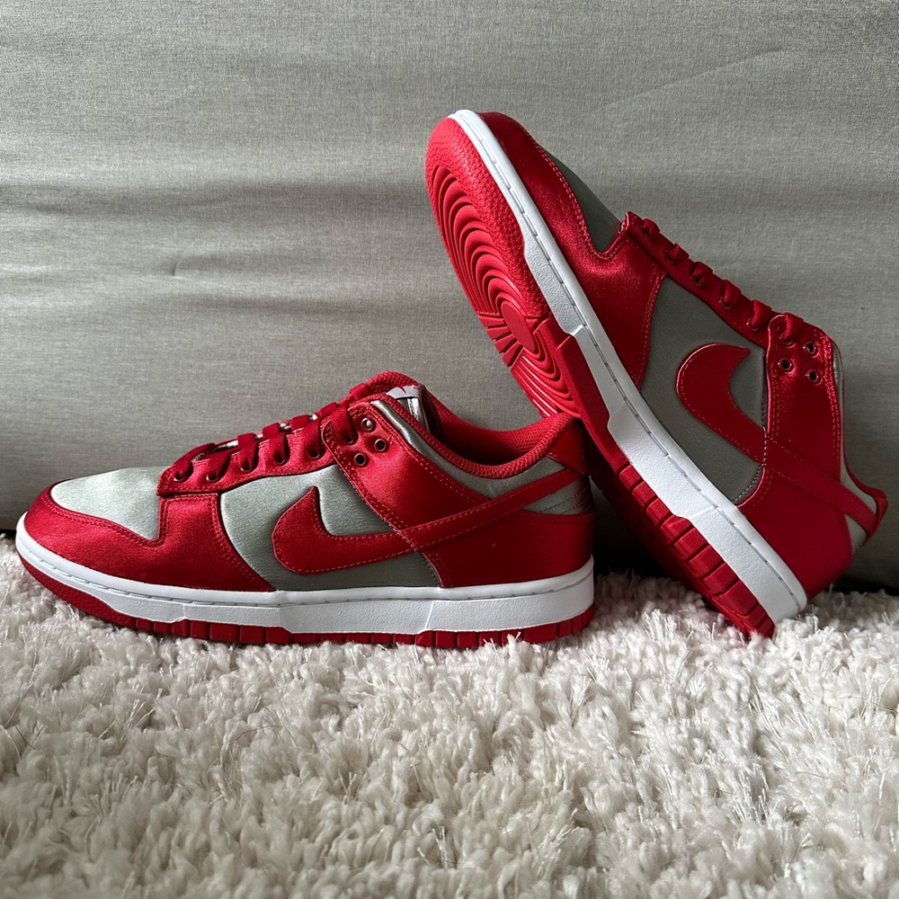 Brand new Nike dunks women’s size 9